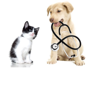 Pet Medications and Vaccines